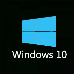 Windows 10 Pro OEM Key