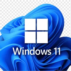 Windows 11 Pro OEM Key